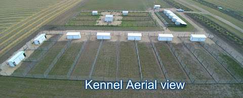 Bear Lake Kountry Kennels Bear Lake Kountry Kennels
